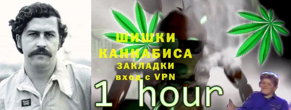 2c-b Абинск