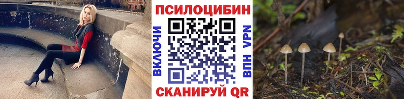 Галлюциногенные грибы Psilocybe  закладка  Рыльск 