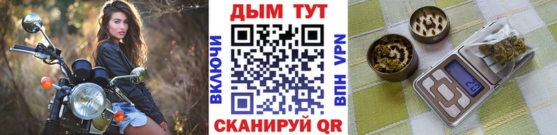 Бошки Шишки план  Рыльск 
